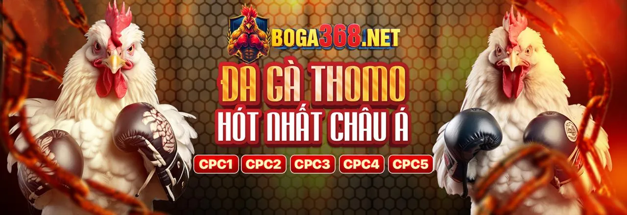 Giao diện đăng nhập caxeng an toàn và hiện đại